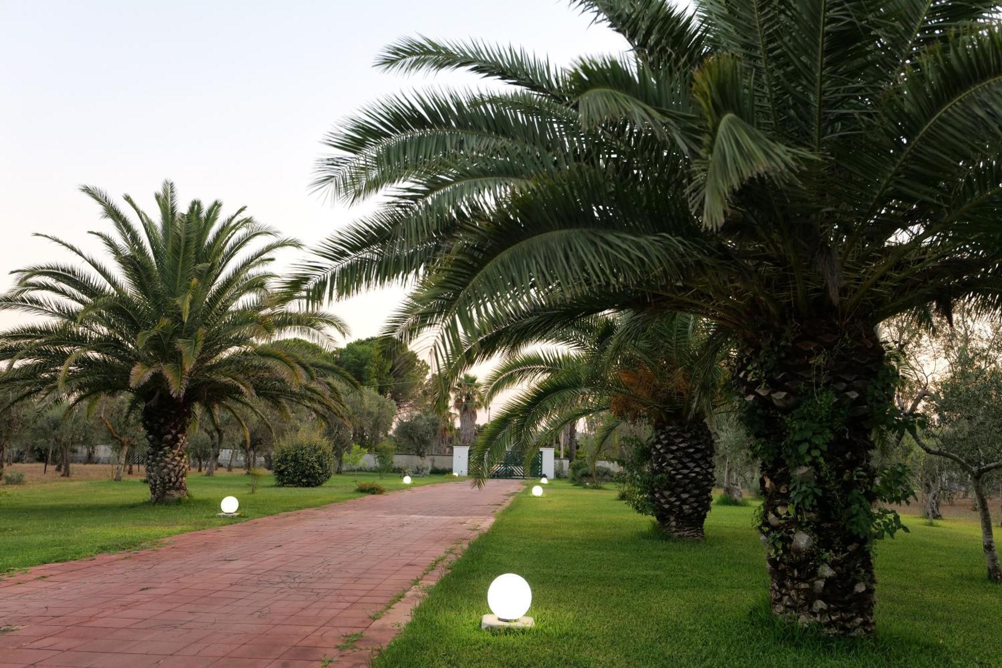 Cursi Tenuta Ricco With Pool And Garden מראה חיצוני תמונה